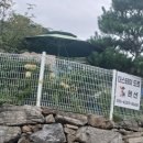 더스테이&도트 이미지