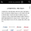 스카이팀 이미지