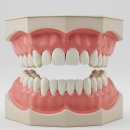 서울닥터유치과의원 이미지