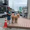 원찜갈비 | 대구여행기 미스테이스타비앤비 봉산찜갈비 걸리버막창 신기루잡화점