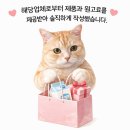 가정슈퍼 | [고양이모래] 다묘집사가 써본 카사바모래 vs 두부모래 후기 (feat 슈퍼카사바)