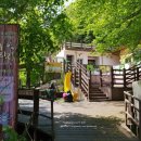 의신 베어빌리지 이미지