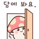 기흥전자담배추추베이프 이미지