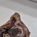 해피왈츄 이미지