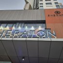 피자포피스 나트랑 화덕피자 파스타 양식맛집 메뉴추천 내돈내산후기