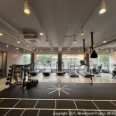 wellness Daum카페