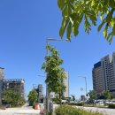 역앞 버스정류장(상행) 이미지