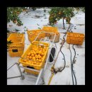 태양2농장 이미지