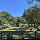 바닐라브릭 이미지