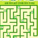 수성구청 이미지