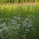 송정대로 이미지