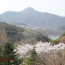 청풍명월 이미지