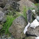 TJ게스트하우스 이미지