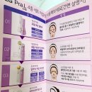 LG토탈 이미지