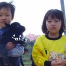 가현농장 Daum카페