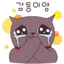 대성사우나 미용실 이미지