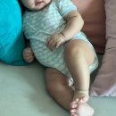 나라소프트 | 그린핑거 라라소프트 아기 기저귀 무료샘플팩 후기(4단계 하기스 매직컴포트 깨끗한나라 보솜이 비교)