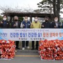 합천양파 이미지