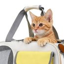 메리펫 애견유치원 이미지