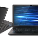 늑대와 여우 컴퓨터 이미지