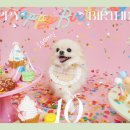 해피몽스데이 이미지