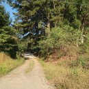 팔봉주유소 이미지