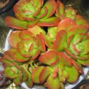 화양농장 이미지