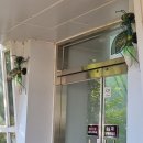 무지개동산어린이집 | [대전오월드] 중부권 최대 규모 테마공원 15년 만의 재방문 후기