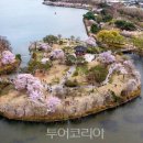 꽃향기가득한 이미지