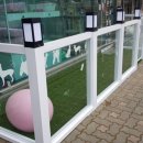 프리티도그 이미지