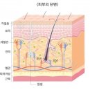 왁싱백프로&테라피