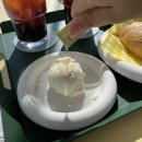 미크플로 이미지