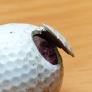 드림골프 이미지