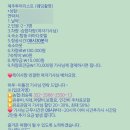 W7. 제주 웨딩스냅 │ 여자 기사 포함 제주렌트 차량렌트 대절 추천