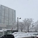 큐(Q)호텔 | 삿포로지하도/삿포로 시로향수/삿포로 쇼핑/삿포로 이자카야 '토리큐'/삿포로맛집/니카상/삿포로 생맥주