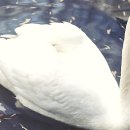 이야기가 있는집 | 우리 집, 숨어있던 보물을 찾은 이야기: 꼼꼼한 &#39;배관교체&#39; 후기