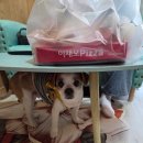 월정 여가 이미지