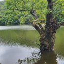 청송의 여기저기(4), 주산지. 얼음골. 백석탄 포트홀 이미지