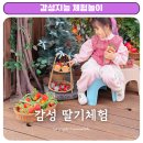 구성농장 | 몽글몽글팜 포천 딸기체험 예약 키즈카페 같은 체험농장 후기