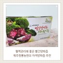 내고향농원 | [제품후기] 혈액관리에 좋은 빨간양파즙 제주청룡농원의 자색양파즙 추천