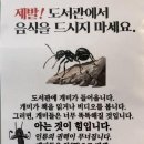 행복한 멘탈을 위한 마음 충전 | 그럼에도 좋은 날은 오니까요 |1분이라고 하면 아주 짧은 것 같지만