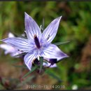 감성골재 이미지