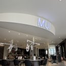 더스타일짐[386] | [헤어클리닉] 무이 삼성점 헤어클리닉 후기｜손상모 복구 제대로 받은 날