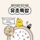 김해외동오렌지점 이미지