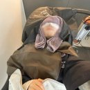 박승철 헤어스튜디오 교보합정점 히피펌 후기