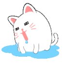 레푸스쌍문 이미지