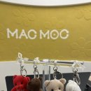 가-30 | 압구정로데오 쇼핑 | 마크모크 도산 플래그십 직접 가본 후기 (30% 타임세일)