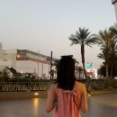 유) 라스베가스 이미지