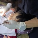 김형수치과의원 네이버블로그