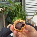 리오 | 군산 분위기 좋은 카페 리오 내돈내산 솔직후기